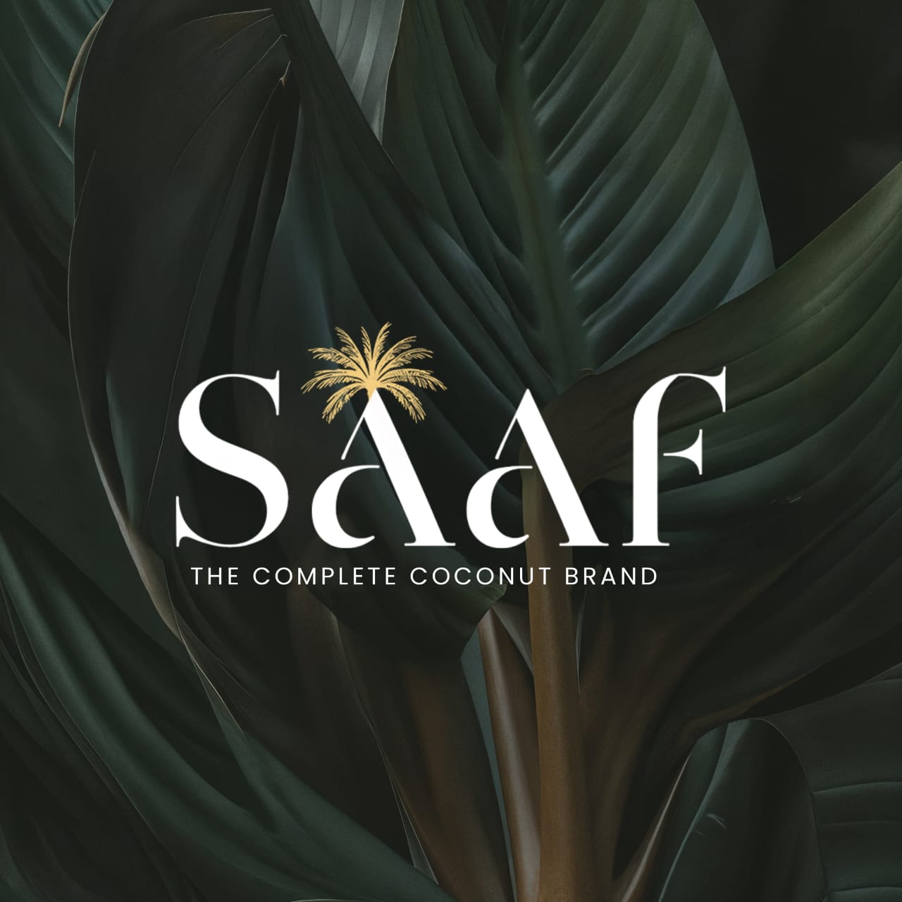 Coconut Splash